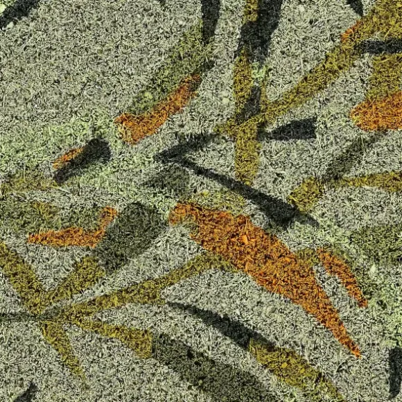 Bambou Capacho Verde