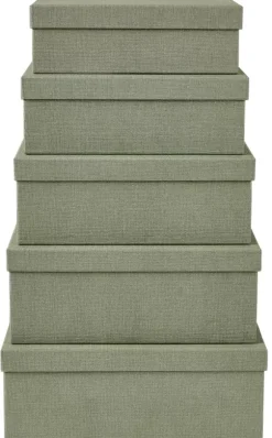 Bigso Caixa Arrumação Xl Menta