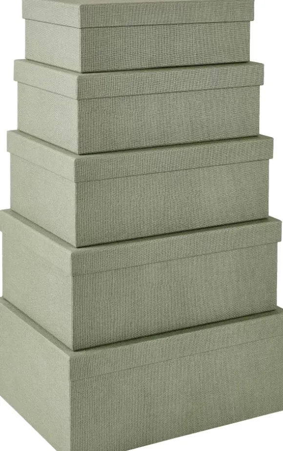 Bigso Caixa Arrumação Xl Menta