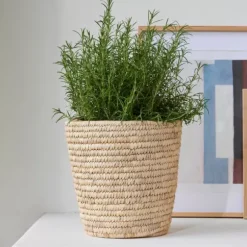 Doebie Cesto Natural