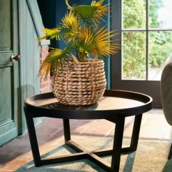 Draco Mesa De Centro