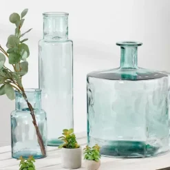 Fran Jarra Transparente