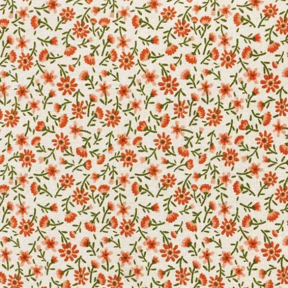 Irma Almofada Multicolor