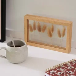 Lagurus Decora O De Parede Natural