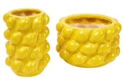 Lemon Jarra Amarelo