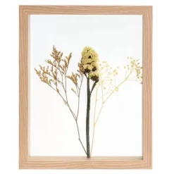 Limonium Decora O De Parede Natural