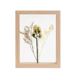 Limonium Decora O De Parede Natural