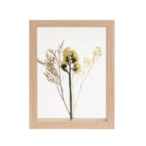 Limonium Decora O De Parede Natural