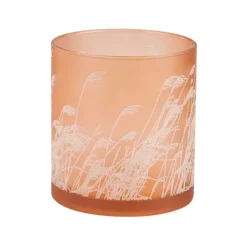 Pampas Lamparina Cor-De-Laranja