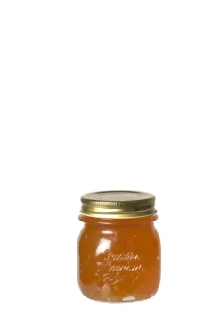 Stagioni Boi O Transparente