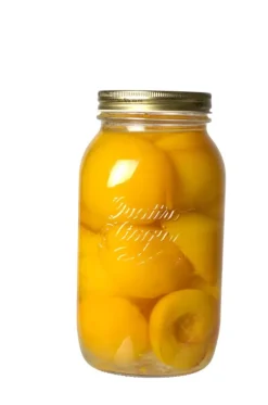 Stagioni Boi O Transparente