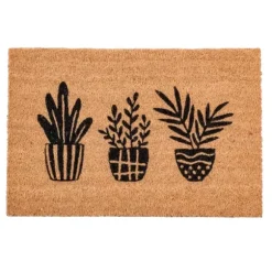 Succulent Capacho Natural