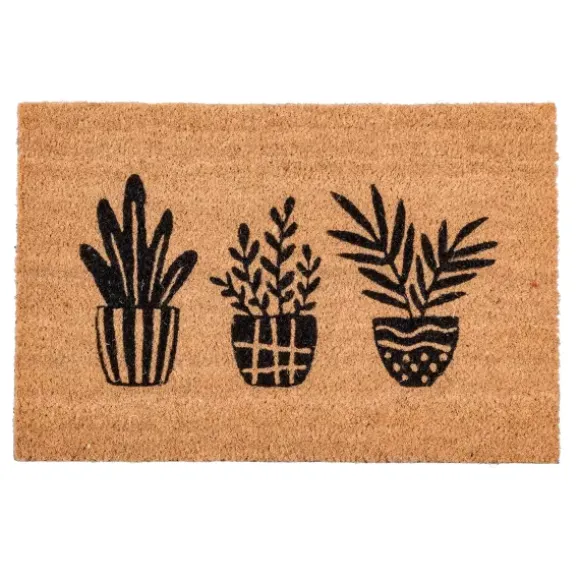 Succulent Capacho Natural